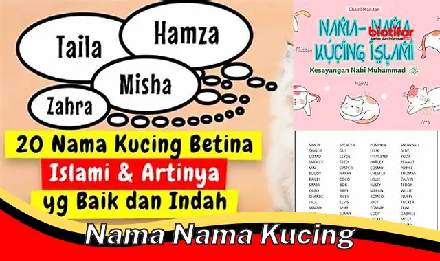 Inspirasi Nama Kucing Terbaik: Lucu, Unik, dan Penuh Makna