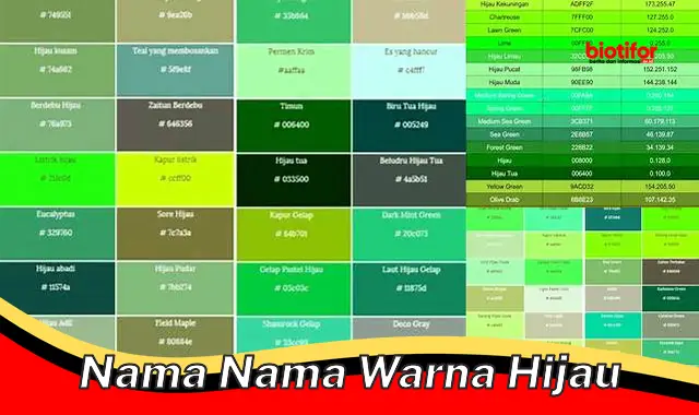 Mengenal Beragam Warna Hijau dan Maknanya - Biotifor