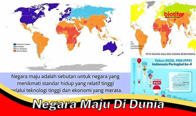 Ciri Khas Negara Maju di Dunia: Panduan Komprehensif