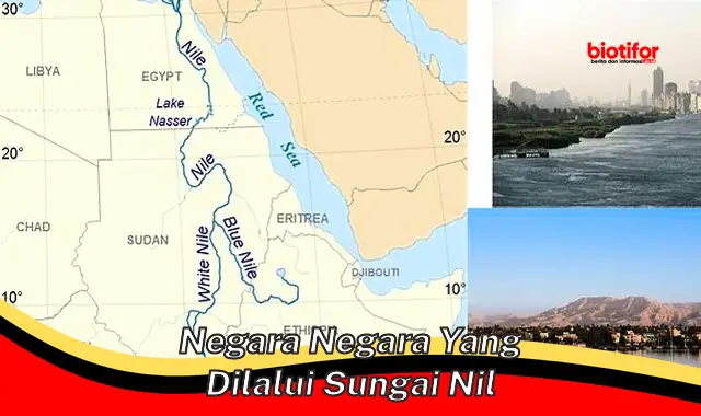 Negara-negara yang Dilalui Sungai Nil: Jalur Kehidupan Afrika