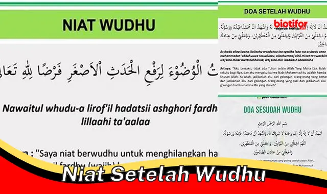 Panduan Niat Setelah Wudhu: Sempurnakan Ibadahmu