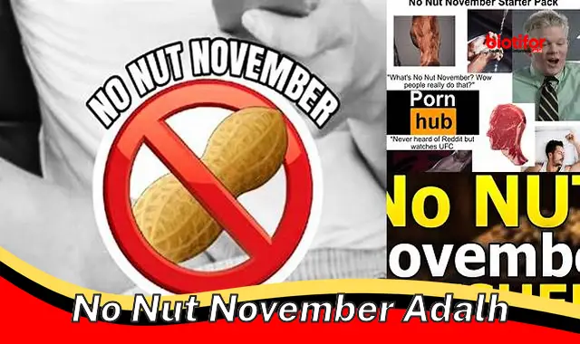 Tantangan No Nut November: Bukti, Manfaat, dan Tips