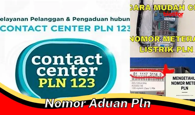 Hubungi Nomor Aduan PLN, Solusi Tepat Atasi Masalah Listrik Anda