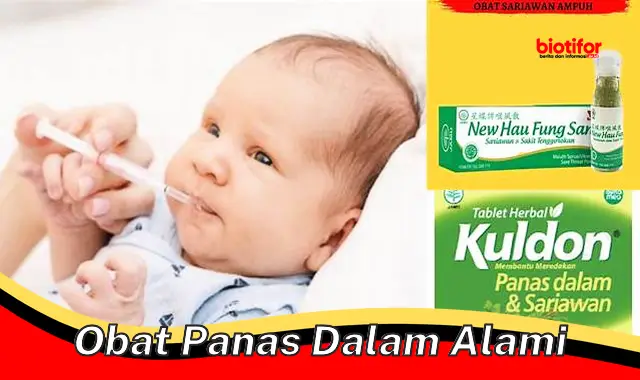 Pilihan Terbaik: Obat Panas Dalam Alami, Aman, dan Berkhasiat