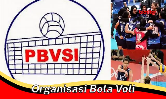 organisasi bola voli