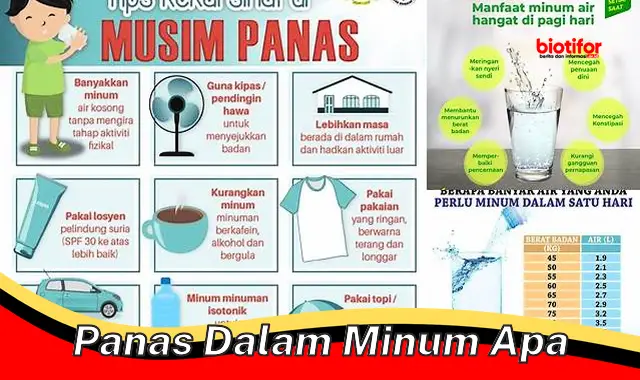 Minuman Tepat Redakan Panas Dalam, Sehat dan Praktis!