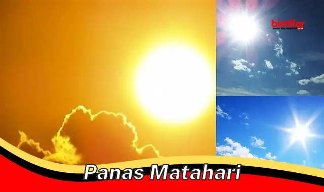 Manfaat Panas Matahari: Sumber Energi Terbarukan untuk Masa Depan