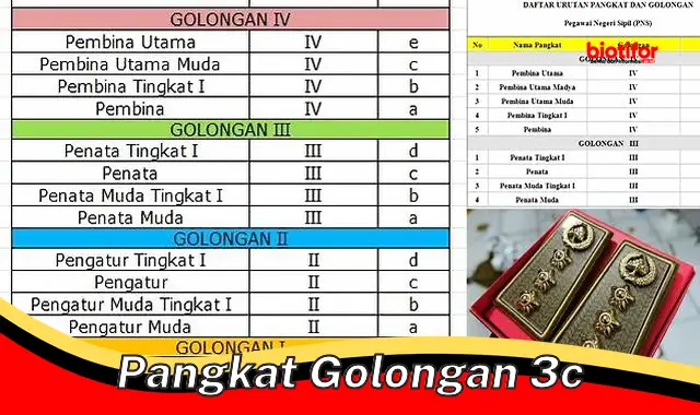 Pangkat Golongan 3c