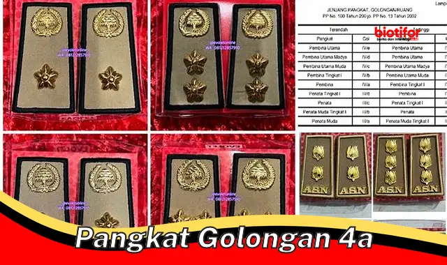 Raih Karir Cemerlang dengan Pangkat Golongan 4a