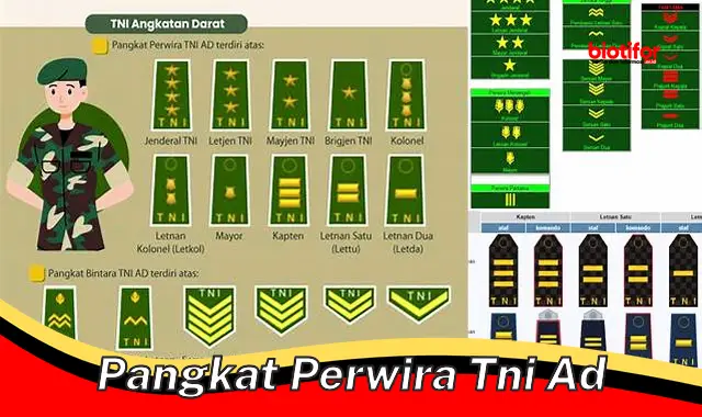 Seluk Beluk Pangkat Perwira TNI AD: Hirarki, Struktur, dan Prestasi