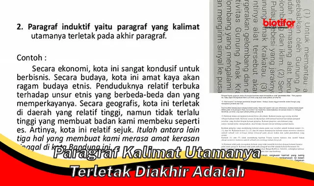 Rahasia Menulis Paragraf Menarik: Kalimat Utama di Akhir!