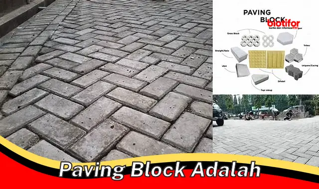 Keunggulan Paving Block: Material Berkualitas untuk Perkerasan Kokoh