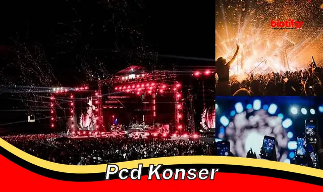 Tips Sukses Menyelenggarakan PCD Konser yang Spektakuler