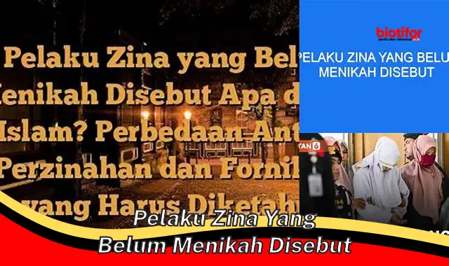 pelaku zina yang belum menikah disebut