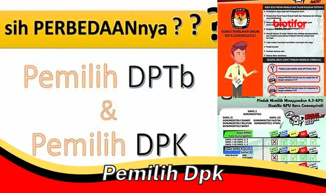 Hak Pilih untuk Pemilih DPK: Menjamin Demokrasi Inklusif