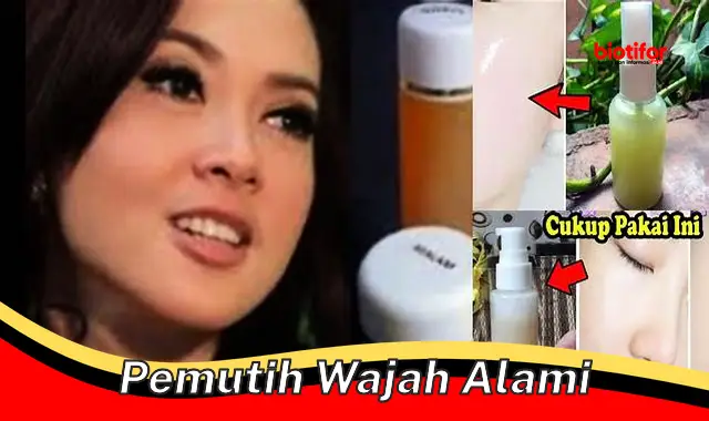 Rahasia Wajah Cerah Alami: Pemutih Wajah Alami