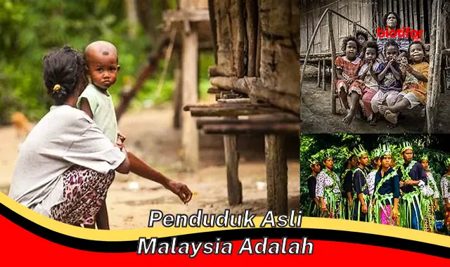 Penduduk Asli Malaysia: Penjaga Hutan dan Pelestari Budaya