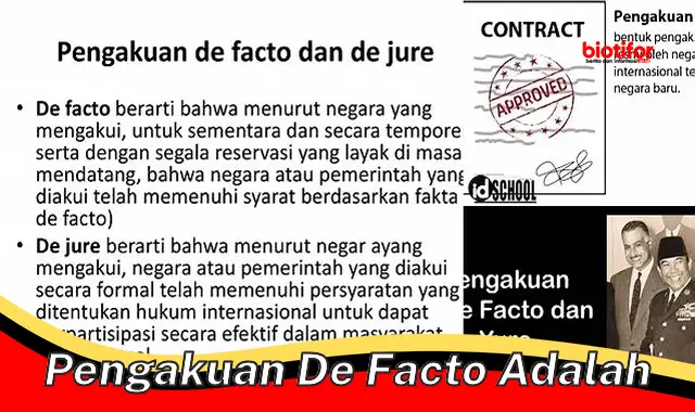 Pengakuan De Facto: Pengertian, Implikasi, dan Contoh