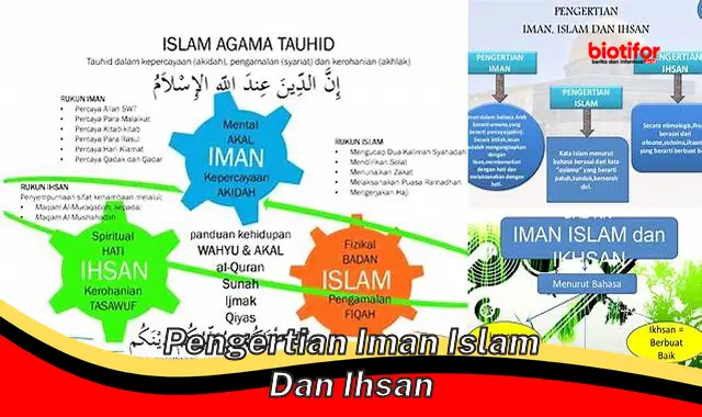 Pengertian Iman, Islam, dan Ihsan: Landasan Penting Kehidupan Muslim