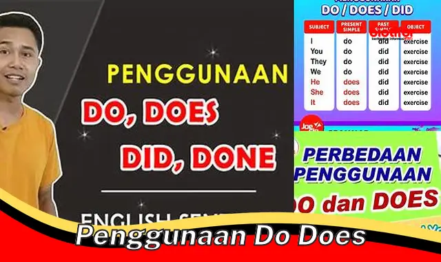 Panduan Lengkap Penggunaan Kata Kerja Bantu "Do" dan "Does" dalam Bahasa Inggris