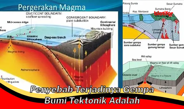 Penyebab Terjadinya Gempa Bumi Tektonik: Panduan Penting