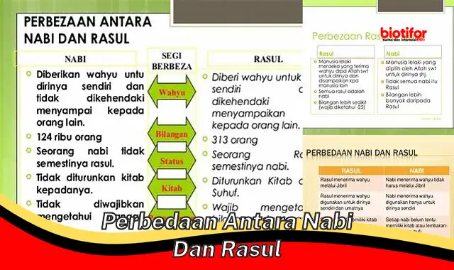 Mengenal Perbedaan Nabi dan Rasul