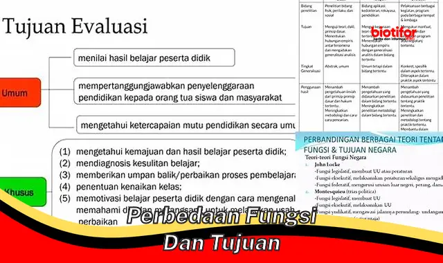 Memahami Perbedaan Fungsi dan Tujuan: Kunci Kesuksesan