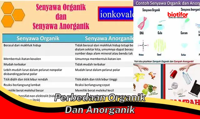 Perbedaan Organik dan Anorganik: Panduan Lengkap