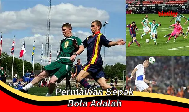 Panduan Lengkap: Seluk Beluk Permainan Sepak Bola - Biotifor