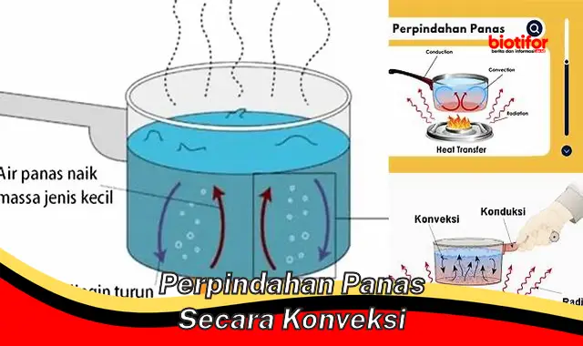 Pentingnya Perpindahan Panas Secara Konveksi dalam Kehidupan Sehari-hari