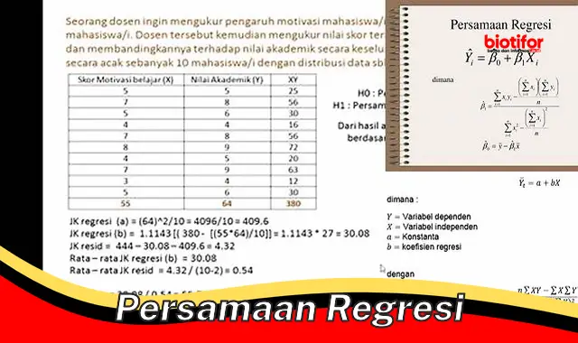 Persamaan Regresi: Pengertian, Jenis, dan Aplikasinya