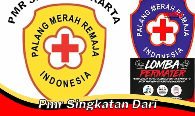 Arti Lengkap PMR: 8 Kepanjangan dan Maknanya - Biotifor