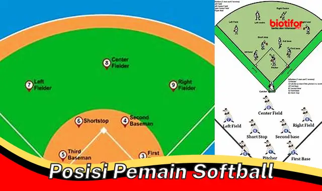 Posisi Penting Pemain Softball untuk Kemenangan Tim