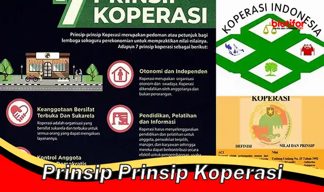 Prinsip-Prinsip Koperasi: Dasar bagi Koperasi yang Kuat dan Berkelanjutan