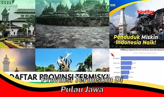 Provinsi Termiskin di Pulau Jawa: Alasan dan Solusi