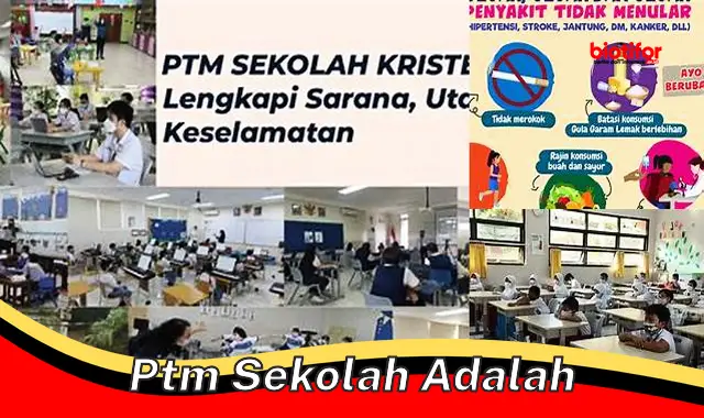 PTM Sekolah: Kunci Efektivitas Belajar yang Optimal