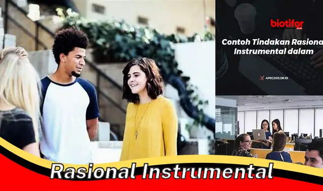 Cara Menggunakan Rasional Instrumental untuk Mencapai Tujuan