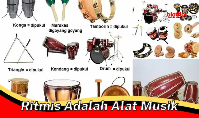 Pengertian Ritmis: Alat Musik yang Penting