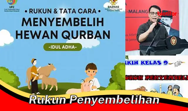 Panduan Lengkap Rukun Penyembelihan Hewan Sesuai Syariat Islam