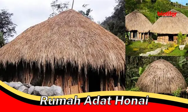 Asal-usul dan Keunikan Rumah Adat Honai, Warisan Budaya Lembah Baliem