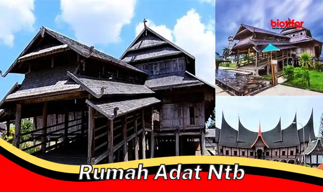 Ketahui Keunikan Rumah Tradisional NTB, Simbol Kemakmuran Masyarakat Sasak