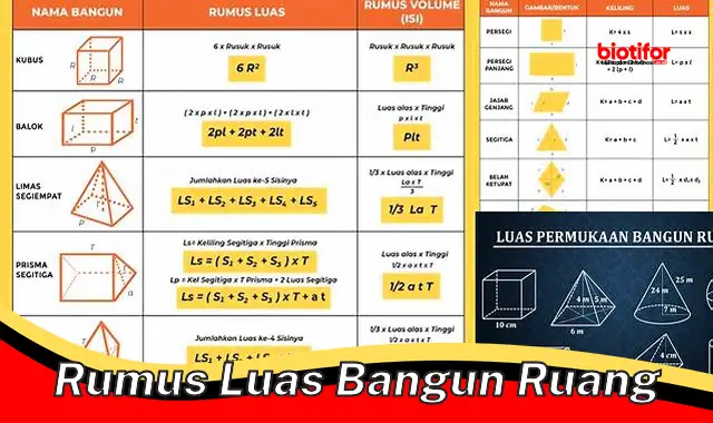 Panduan Lengkap Rumus Luas Bangun Ruang: Cara Menghitung, Jenis-Jenis, dan Aplikasinya