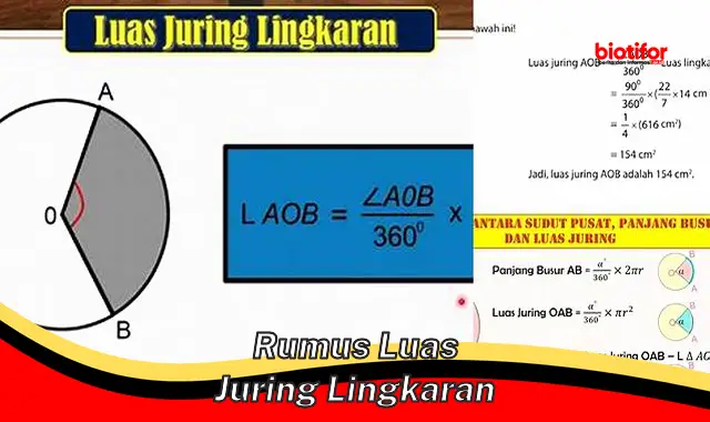 Cara Mudah Hitung Luas Juring Lingkaran: Rumus dan Contoh