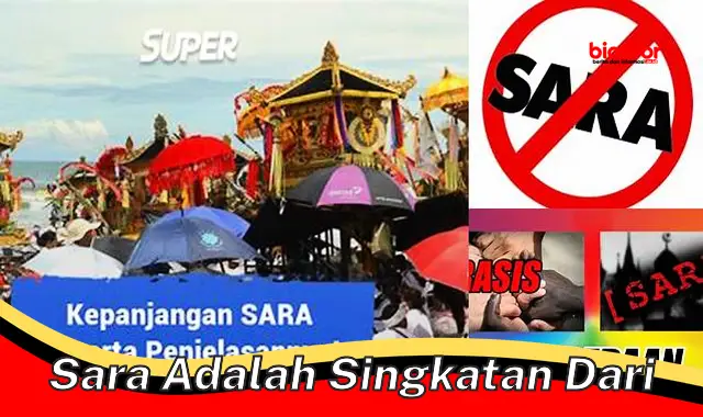 Fitur Penting "Sara Adalah Singkatan Dari" yang Wajib Anda Ketahui