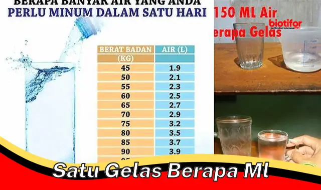 Takaran Tepat: Cari Tahu 1 Gelas Berapa Ml!