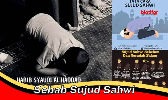 Pahami Sebab Sujud Sahwi Agar Sholat Lebih Sempurna