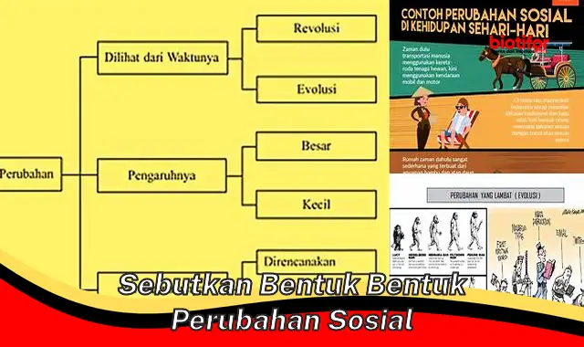 Berbagai Bentuk Perubahan Sosial yang Perlu Diketahui