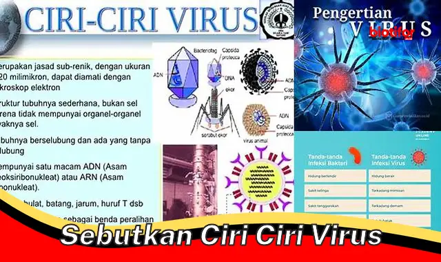 Mengenal Ciri Khas Virus: Panduan Komprehensif