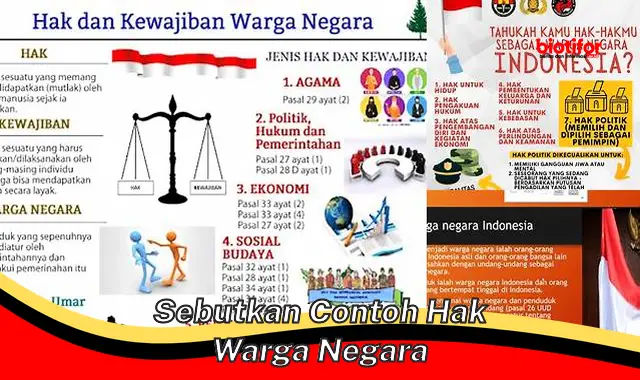 Contoh Hak Warga Negara yang Penting untuk Diketahui