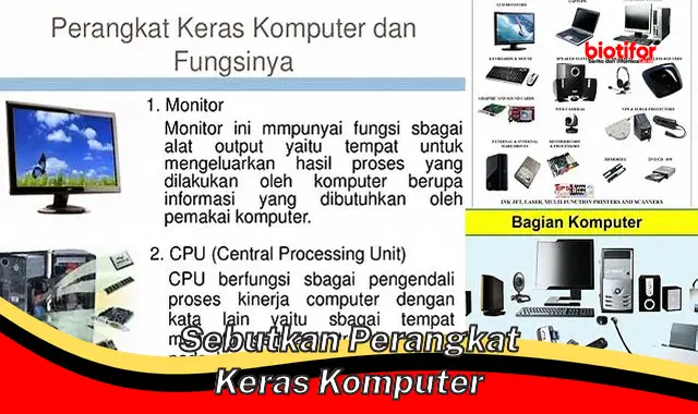 Panduan Lengkap: Jenis dan Fungsi Perangkat Keras Komputer